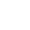 車輛運輸